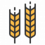 Barley-based Drinks
